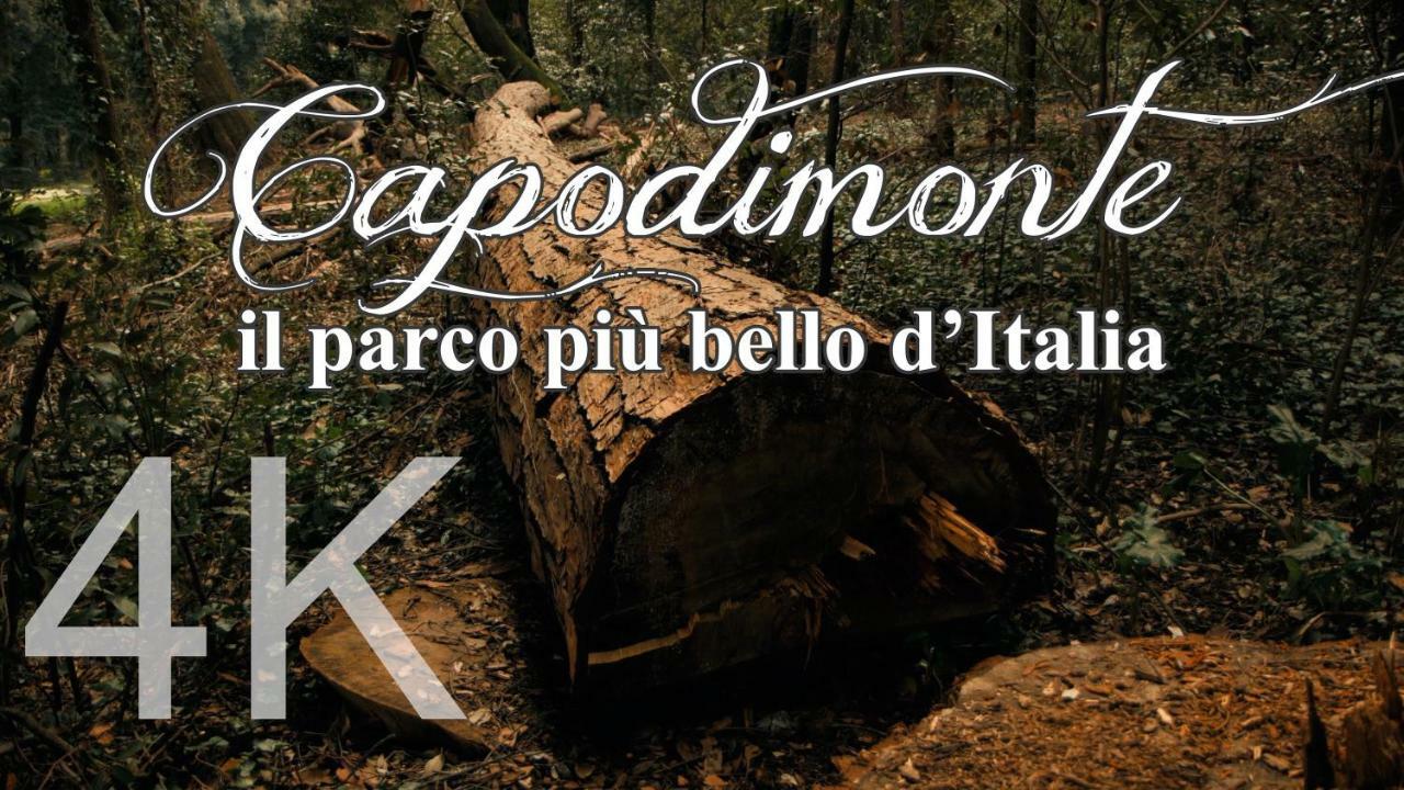 Alla Corte Del Re Dimora Storica Naples Luaran gambar